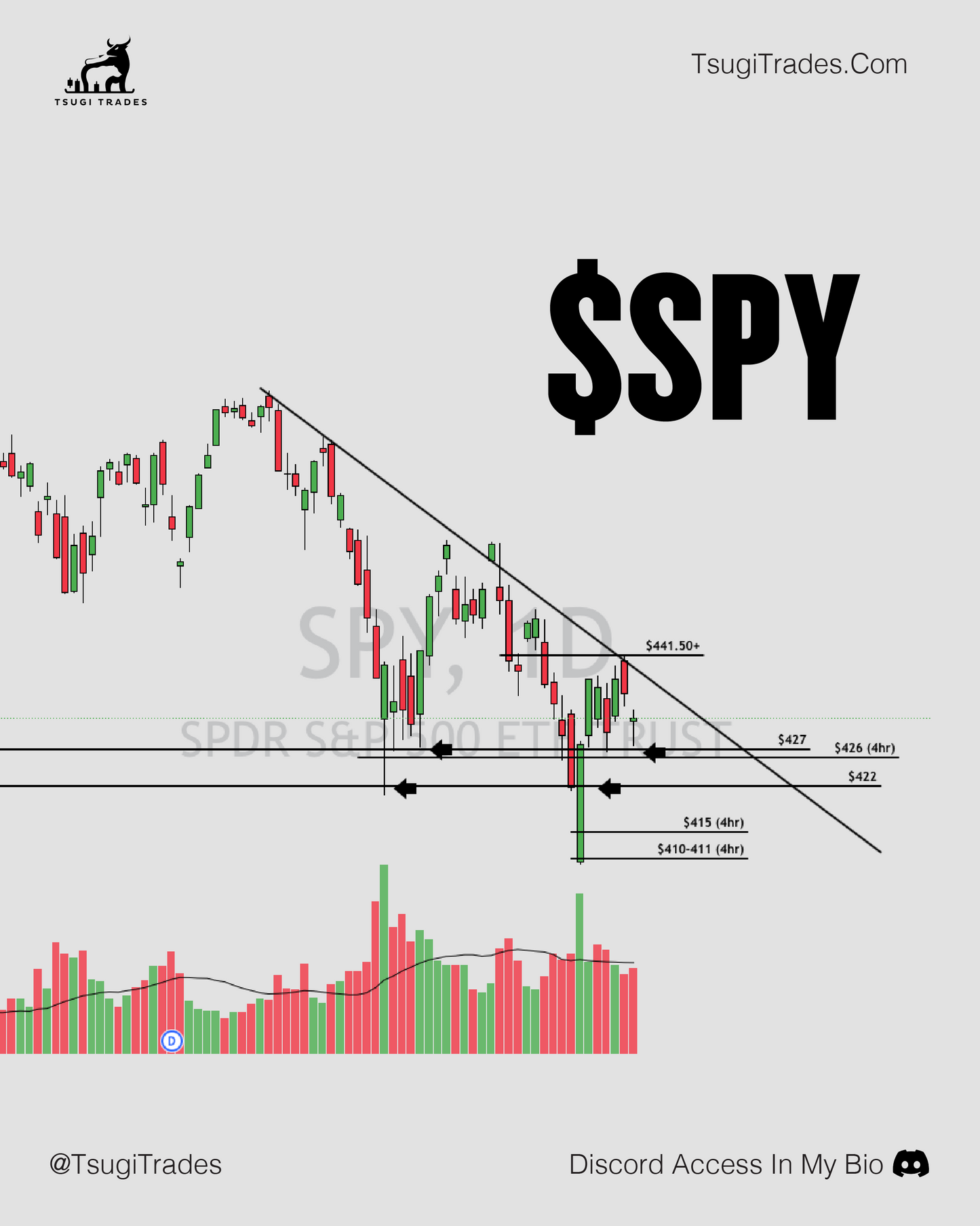 Daily Watchlist Reports